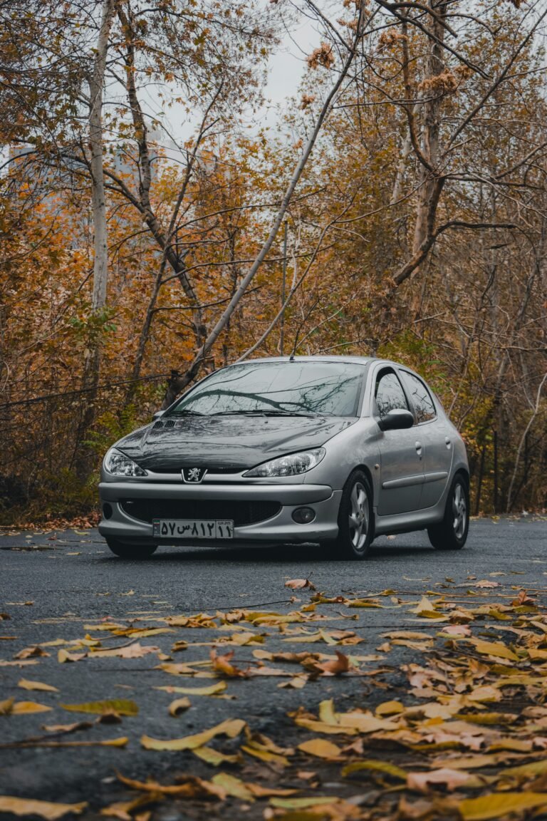 Todo lo que necesitas saber sobre el Peugeot 206: especificaciones precios y más