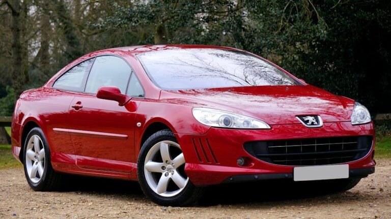 Todo sobre el Peugeot 307: características precios y opiniones